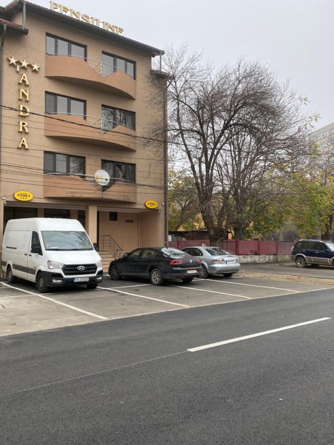 Pensiunea Andra Timisoara Exterior photo