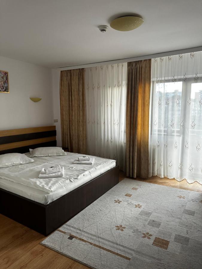Pensiunea Andra Timisoara Exterior photo